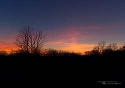 Landscapes2