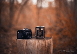Vintage Tools