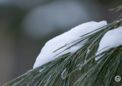 XF-100-400-Samples-32