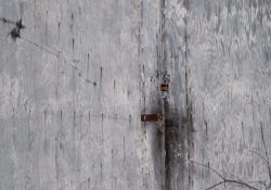 XF-100-400-Samples-34
