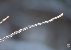 XF-100-400-Samples-36