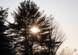 XF-100-400-Samples-40