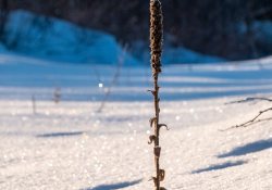 XF-100-400-Samples-41