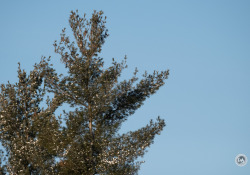 XF-100-400-Samples-43