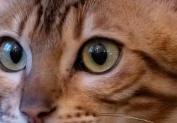 XF-100-400-Samples-49