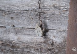 17-Narrow-DOF
