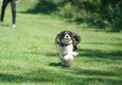 18-Running