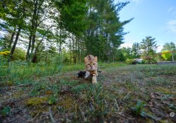 03-Wide-Angle-1