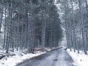 GFX100-Samples-50