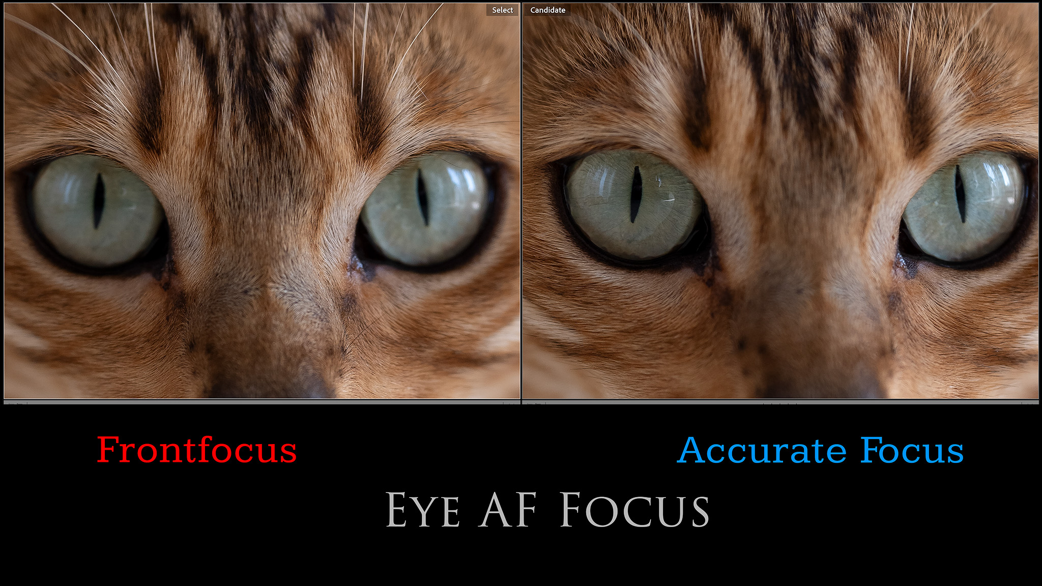 26-Eye-AF-Focus