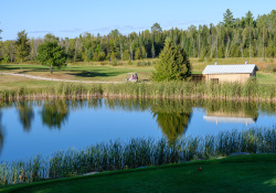 02-Framing-Options-1