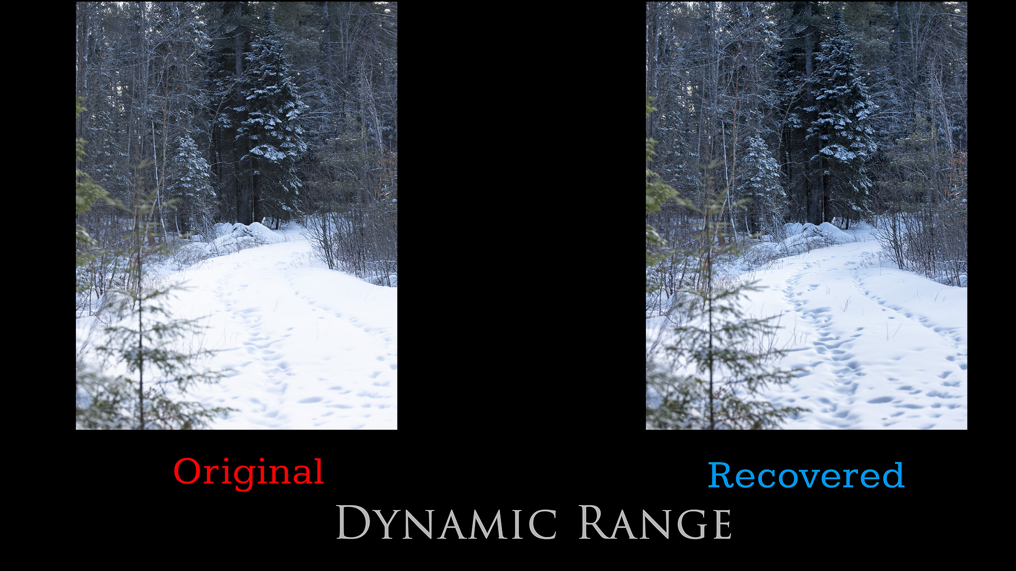 40-Dynamic-Range