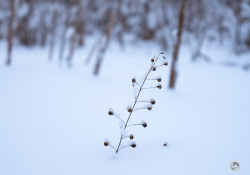 08-DOF