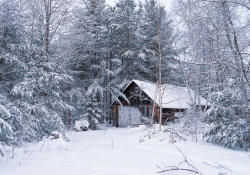 29-The-Cabin