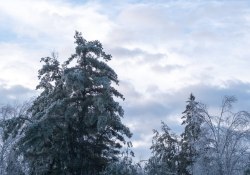 35-Dynamic-Range-1