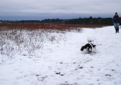 16-Tracking-2