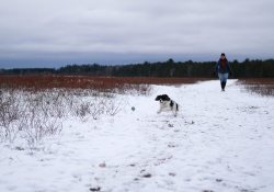 16-Tracking