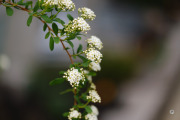 X-S20-Samples-1