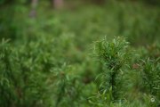 X-S20-Samples-12