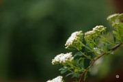 X-S20-Samples-2