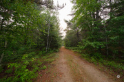 X-S20-Samples-23