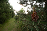 X-S20-Samples-29