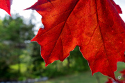 X-S20-Samples-31