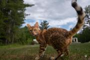 X-S20-Samples-38