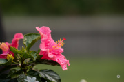 X-S20-Samples-4