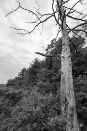 X-S20-Samples-40