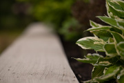 X-S20-Samples-5