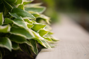 X-S20-Samples-6
