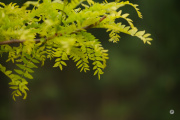 X-S20-Samples-7