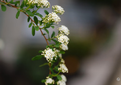 X-S20-Samples-1