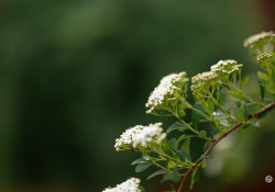 X-S20-Samples-2