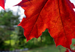 X-S20-Samples-31