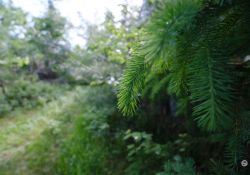 X-S20-Samples-33