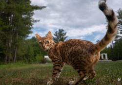 X-S20-Samples-38