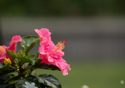 X-S20-Samples-4