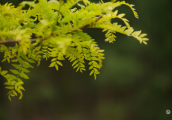 X-S20-Samples-7