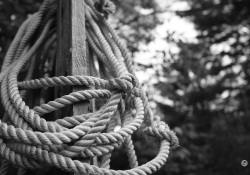 46-Rope-1