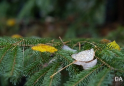 50 Beautiful Color-3