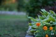 Fujfilm-X-T4-Samples-29