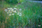Fujfilm-X-T4-Samples-3