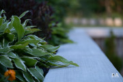 Fujfilm-X-T4-Samples-30
