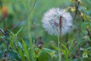 Fujfilm-X-T4-Samples-50