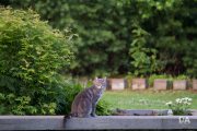 Fujfilm-X-T4-Samples-51