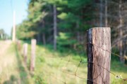 Fujfilm-X-T4-Samples-9