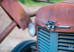 Fujfilm-X-T4-Samples-14