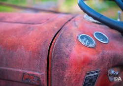 Fujfilm-X-T4-Samples-15